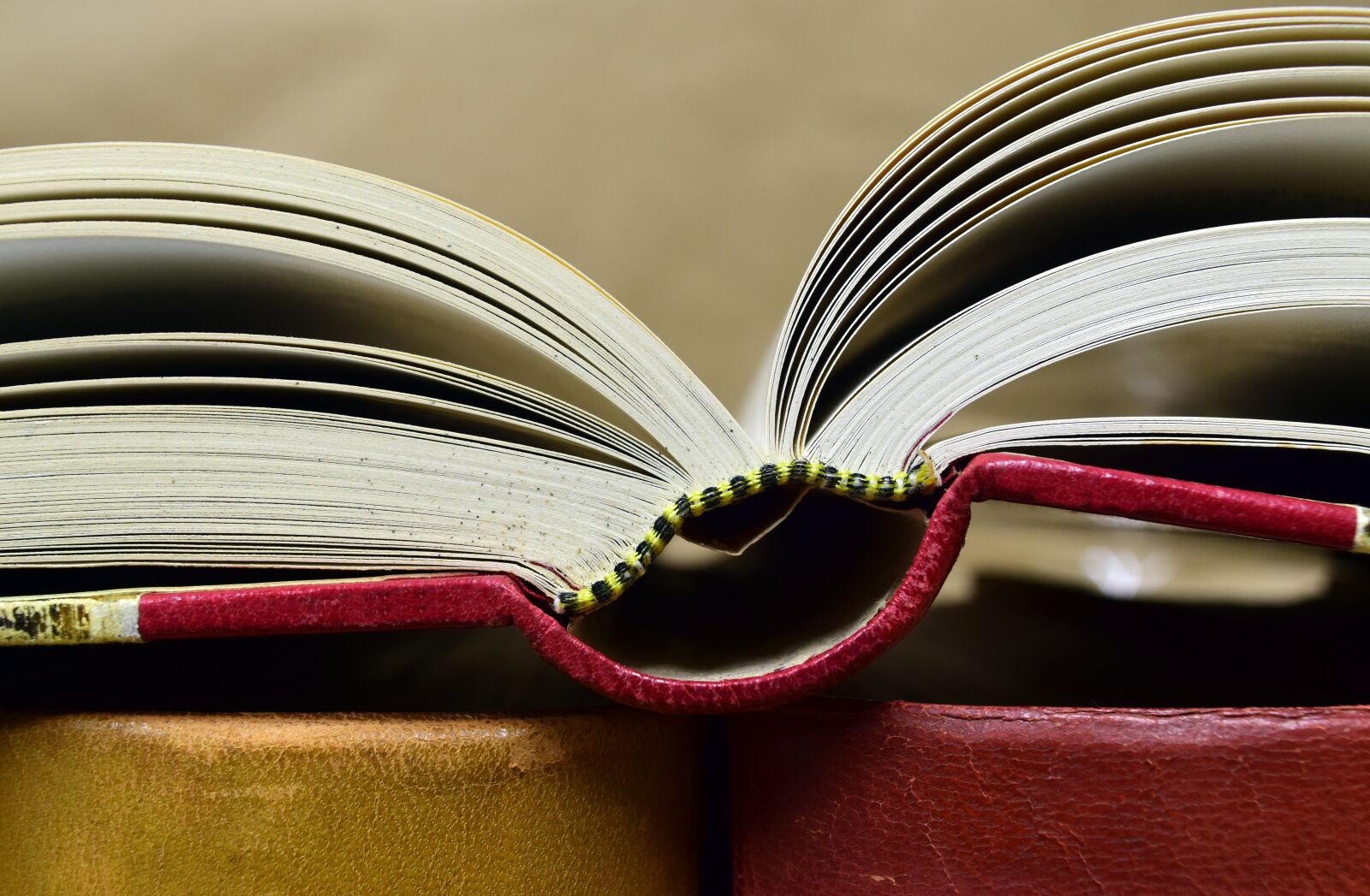 Nikon D3300 sample photo. Book, antiquariat, old books photography