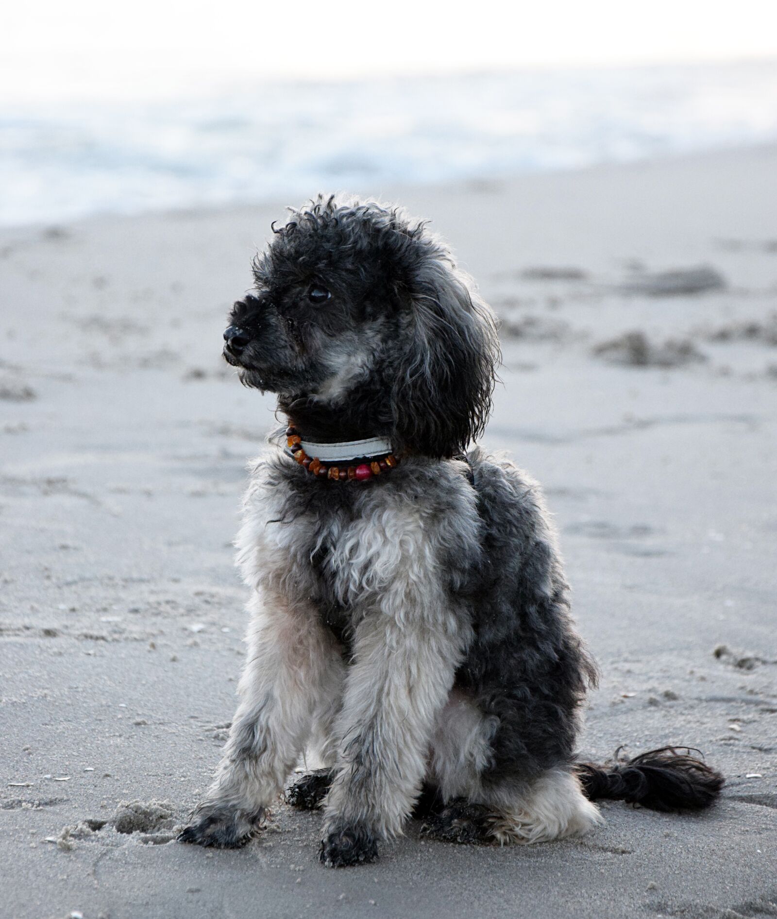 Nikon D3300 sample photo. Beach, sea, water photography