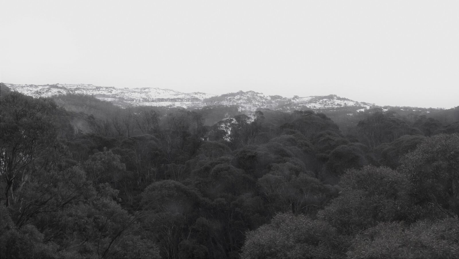 Nikon D3300 sample photo. Mountain, forest photography