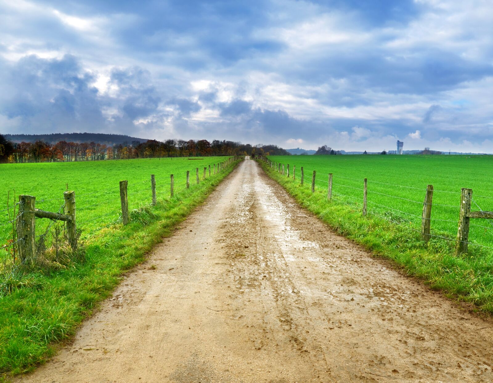 Nikon D5100 sample photo. Road, countryside, land photography