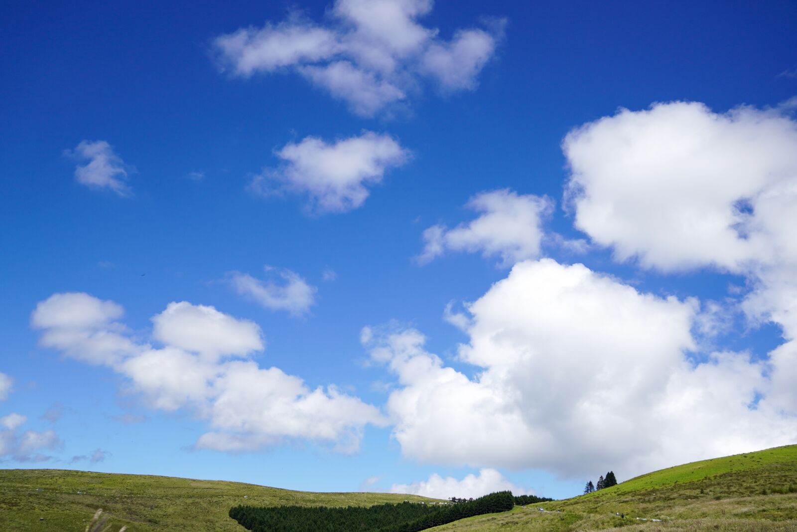 Sony E 18-135mm F3.5-5.6 OSS sample photo. Japan, sky, natural photography