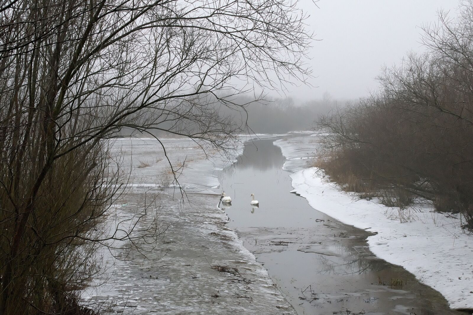 Nikon D3300 sample photo. Snow, winter, view photography