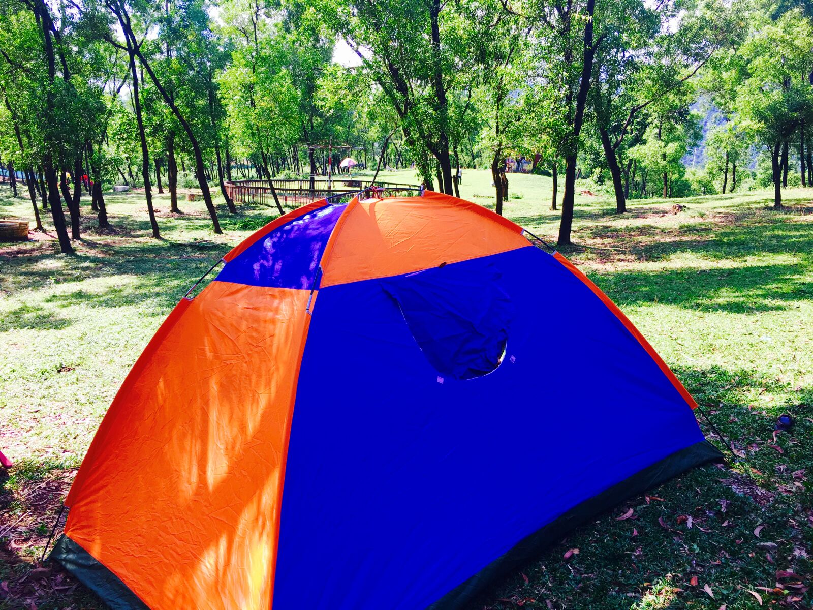 iPhone 6s back camera 4.15mm f/2.2 sample photo
