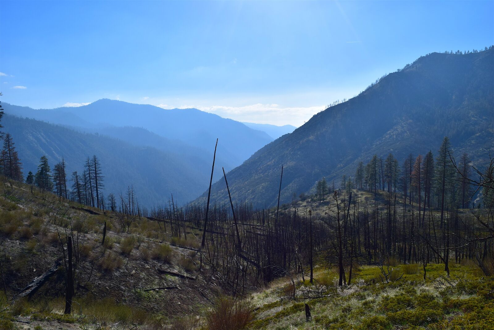 Nikon D3300 sample photo. Mountains, nature, trees photography