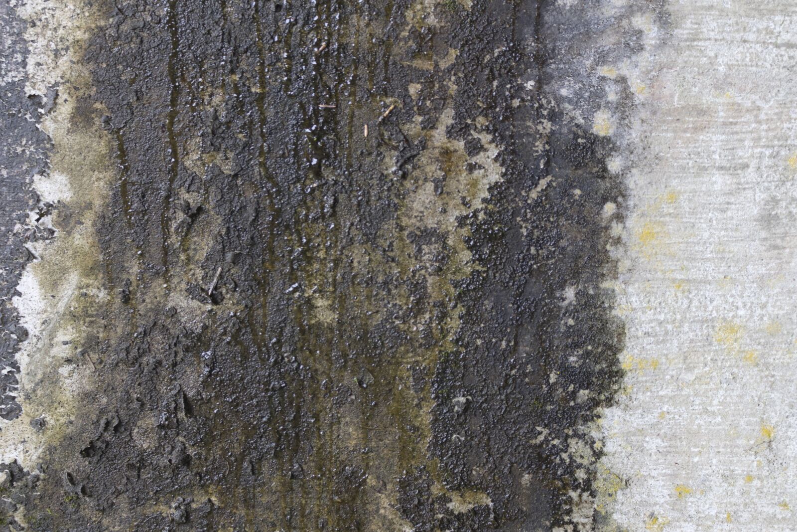 Canon EOS 700D (EOS Rebel T5i / EOS Kiss X7i) sample photo. Textures, rock, grunge photography