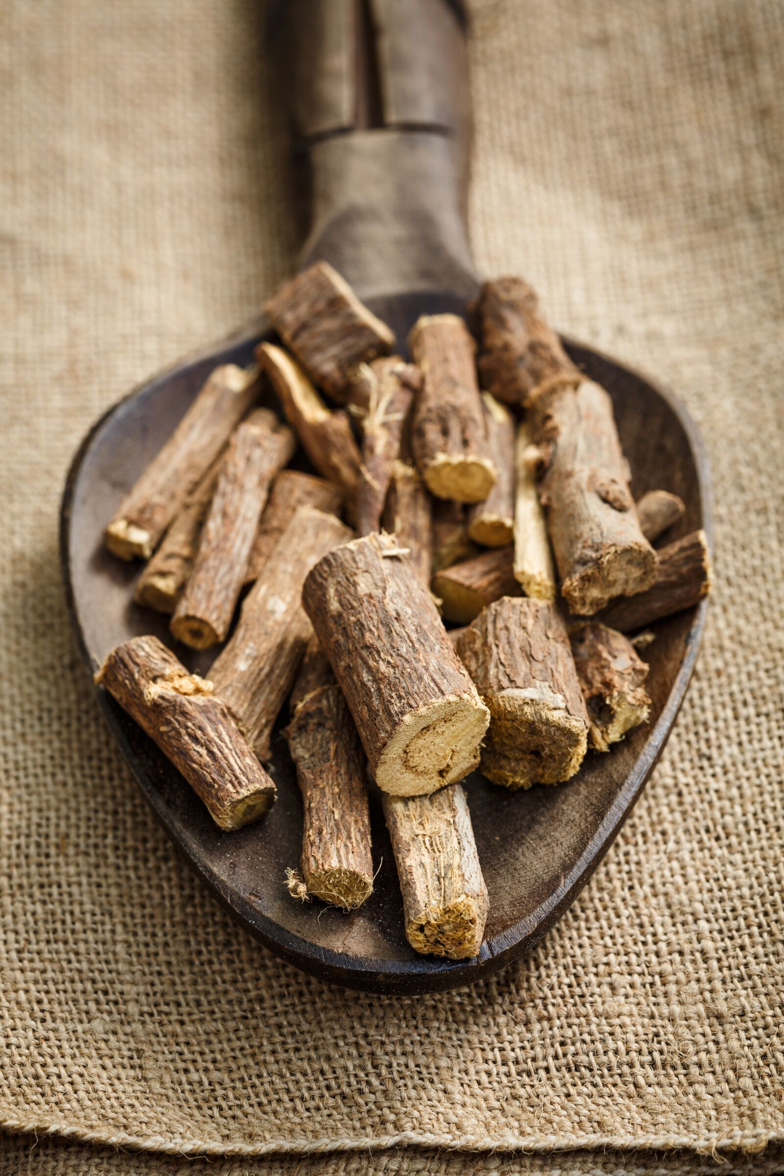 Canon EF 100mm F2.8 Macro USM sample photo. Licorice, root, herbal photography