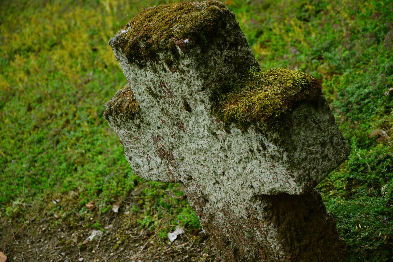Nikon D5200 sample photo. Stone cross, cross, cemetery photography