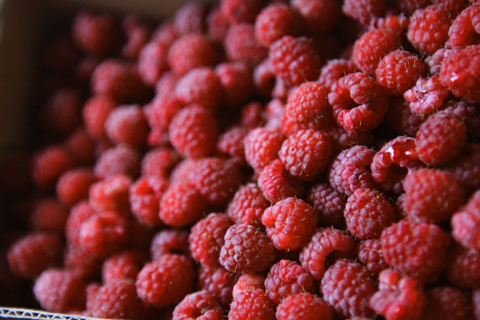 Canon EOS 5D Mark II sample photo. Raspberry, summer, berry photography
