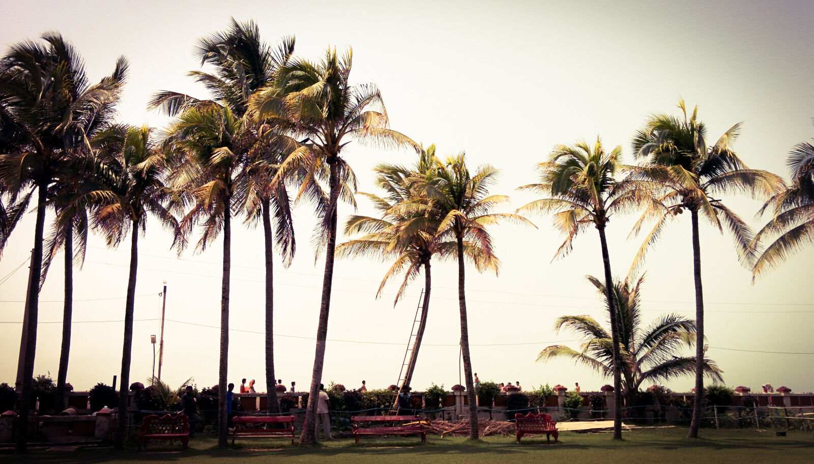 LG Nexus 5 sample photo. Sunset, vacation, trees, resort photography