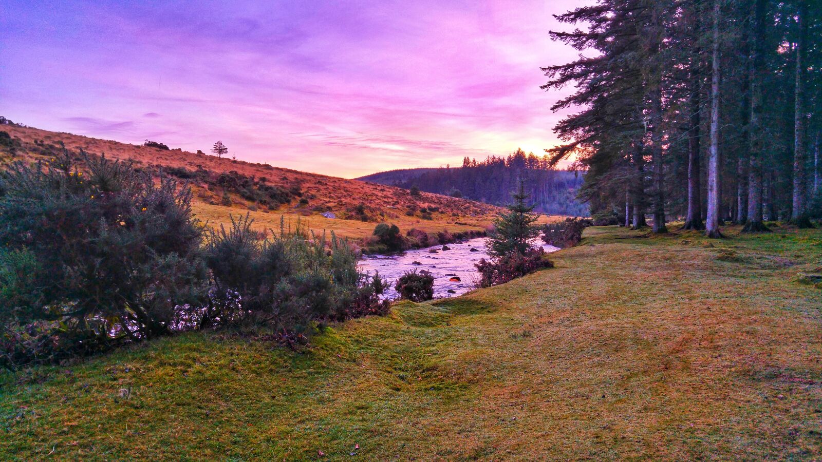 LG G4 sample photo. Bellever forest, dartmoor, yelverton photography