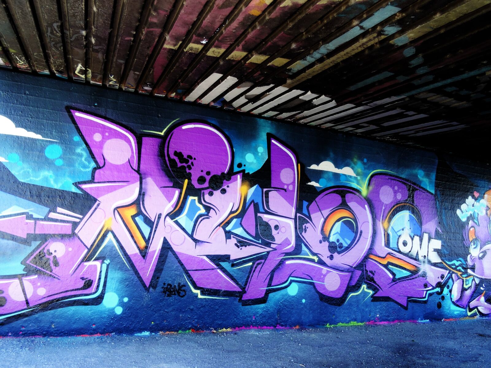 Sony Cyber-shot DSC-HX50V sample photo. Graffiti, purple, blue photography