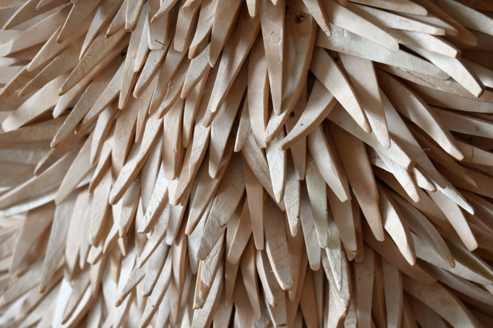 Nikon D5500 sample photo. Pattern, coconut, lamp photography