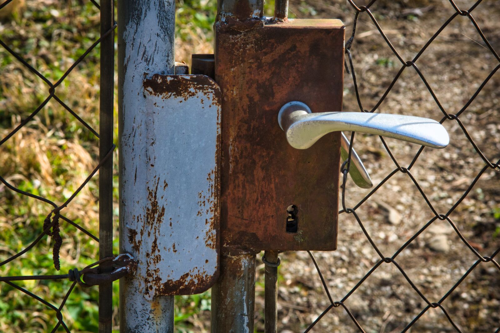 Nikon D7100 sample photo. Door handle, castle, metal photography