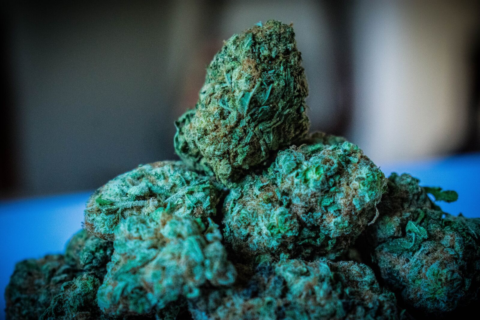 Nikon D3400 sample photo. Marijuana, weed, cannabis photography