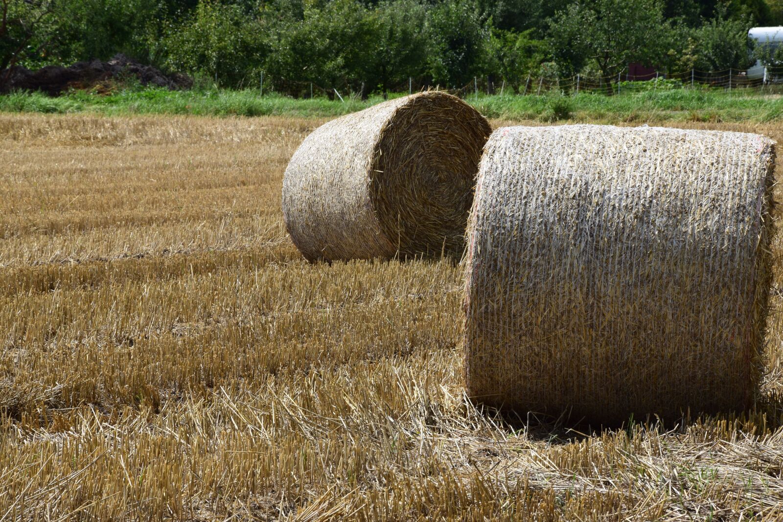 Nikon D3300 sample photo. Hay, hay bales, straw photography
