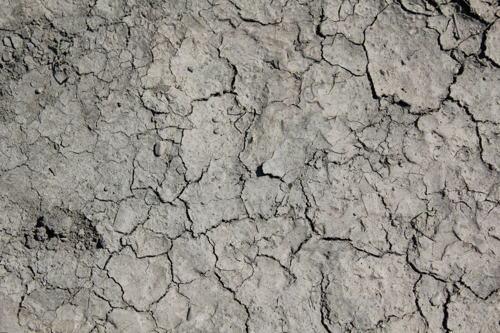 Canon EF-S 18-55mm F3.5-5.6 IS sample photo. Drought, wallpaper, surface photography