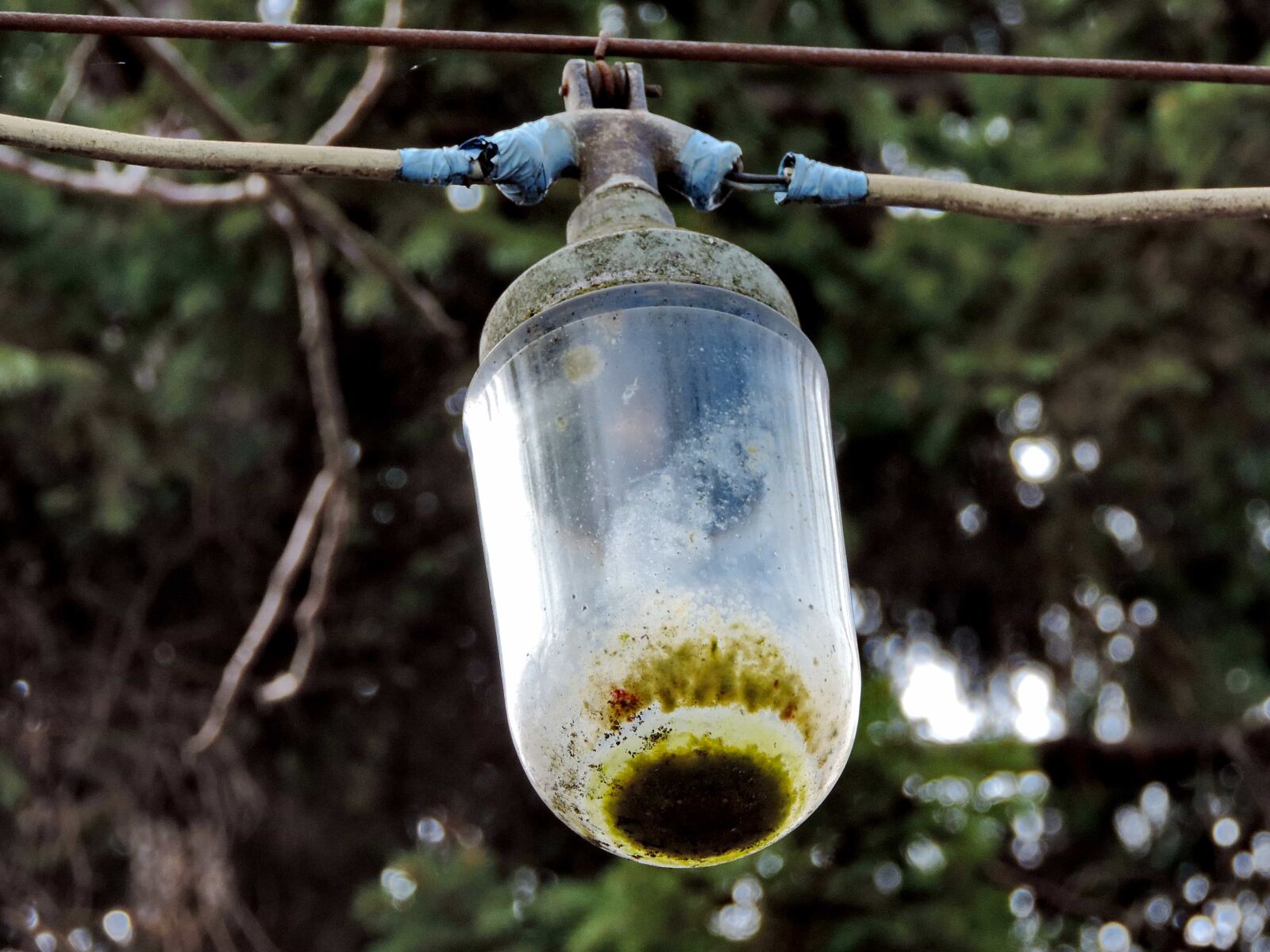 Nikon Coolpix P520 sample photo. Light bulb, wire, device photography