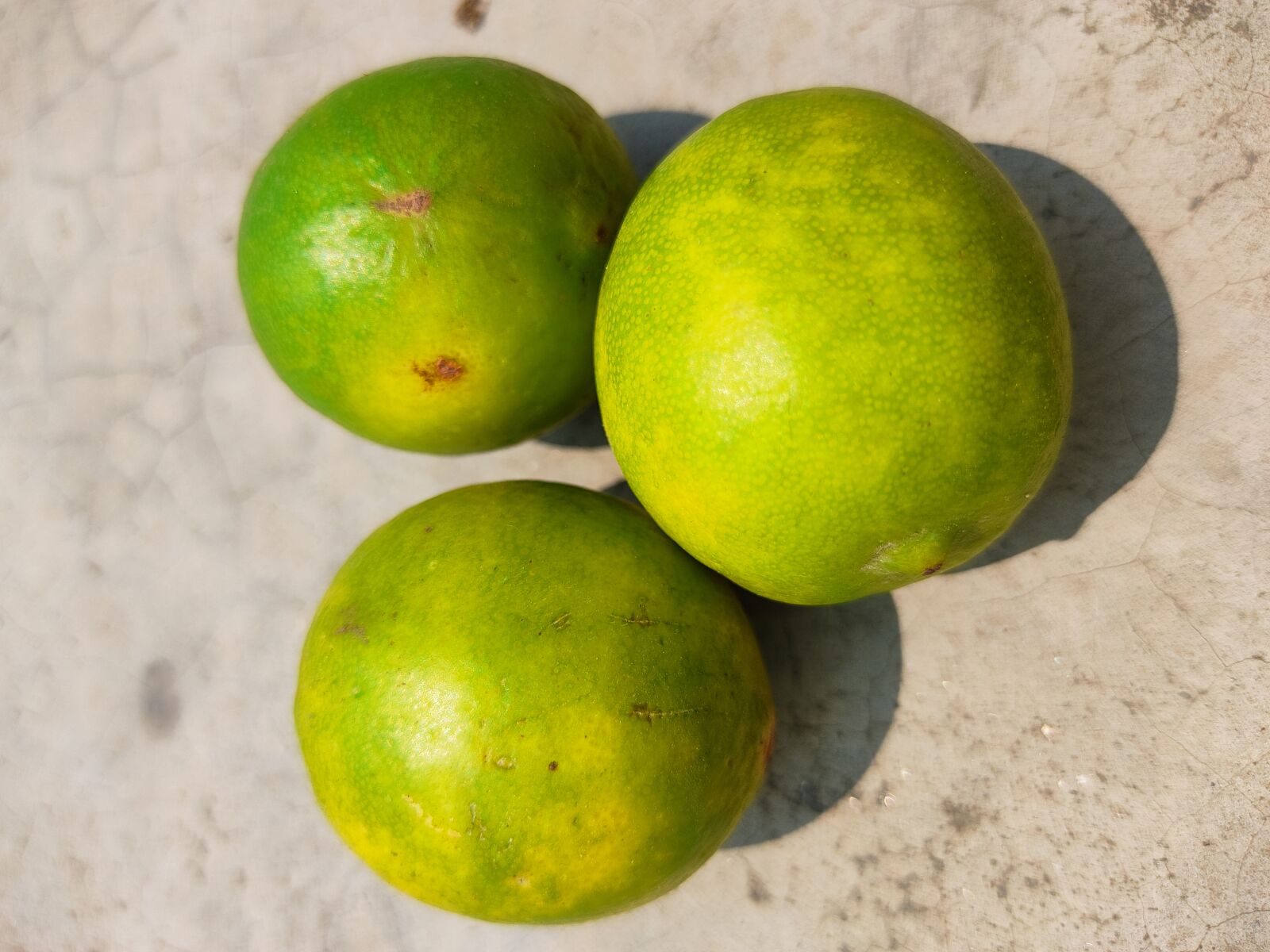 Xiaomi Redmi Note 9 Pro sample photo. Lemon, juicy, vegetable photography