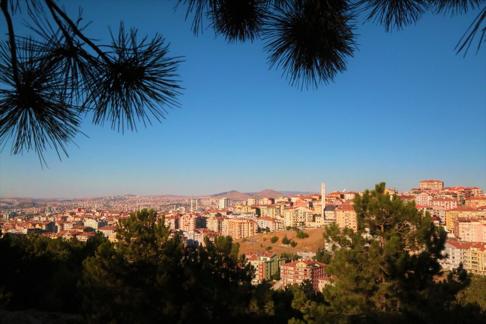 Canon EOS 5D Mark III sample photo. Ankara, city, houses photography