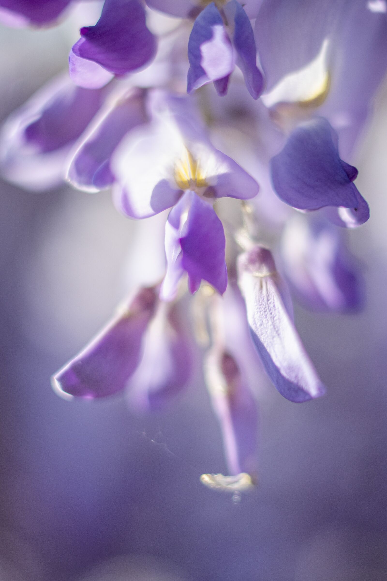 Nikon D7500 sample photo. Photos timeo, timeo sitruk photography