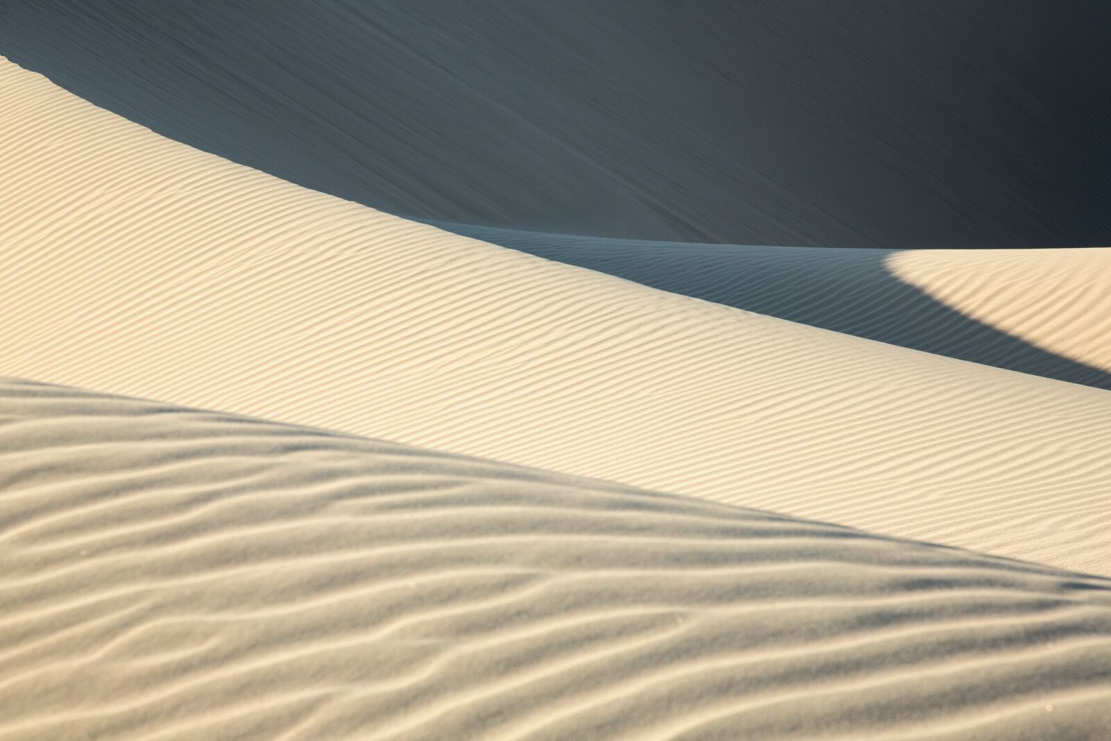 Canon EF 24-105mm F4L IS USM sample photo. Dune, desert, beach photography