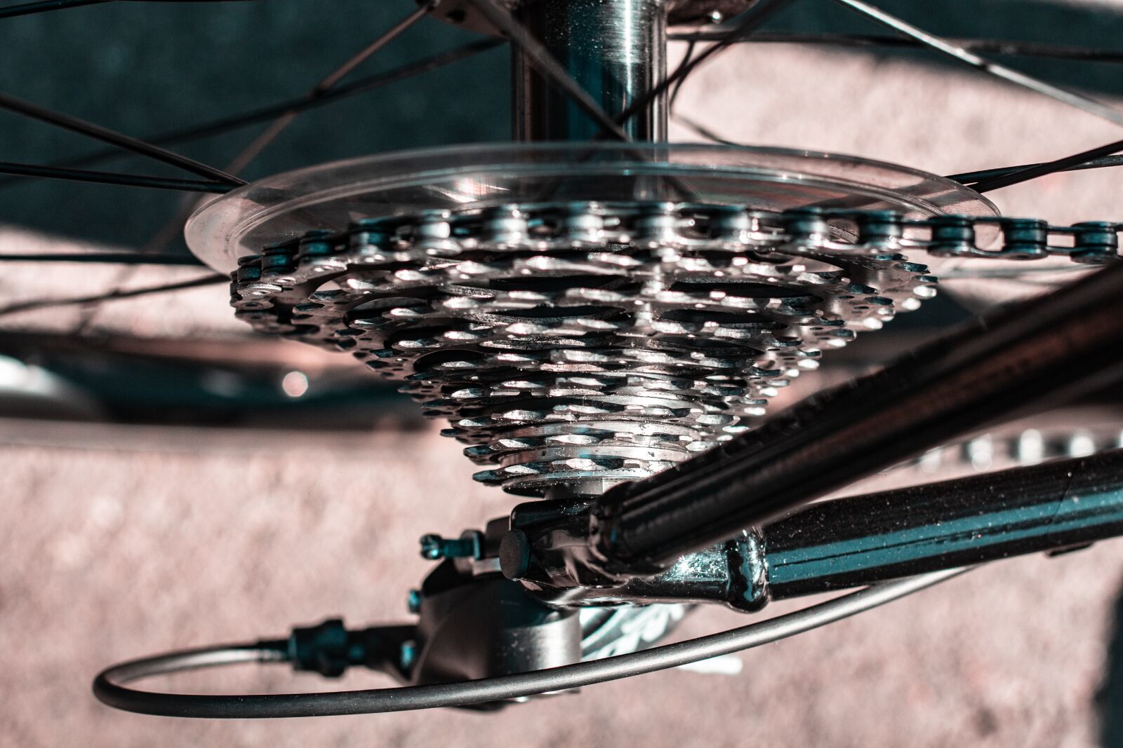 Canon EOS 700D (EOS Rebel T5i / EOS Kiss X7i) sample photo. Bike, wolnobieg, cassette cycling photography