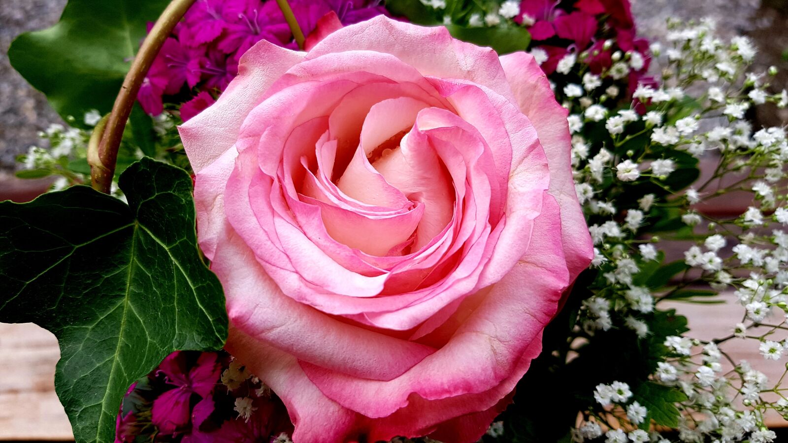 Samsung Galaxy S7 Edge sample photo. Rose, bouquet, birthday photography
