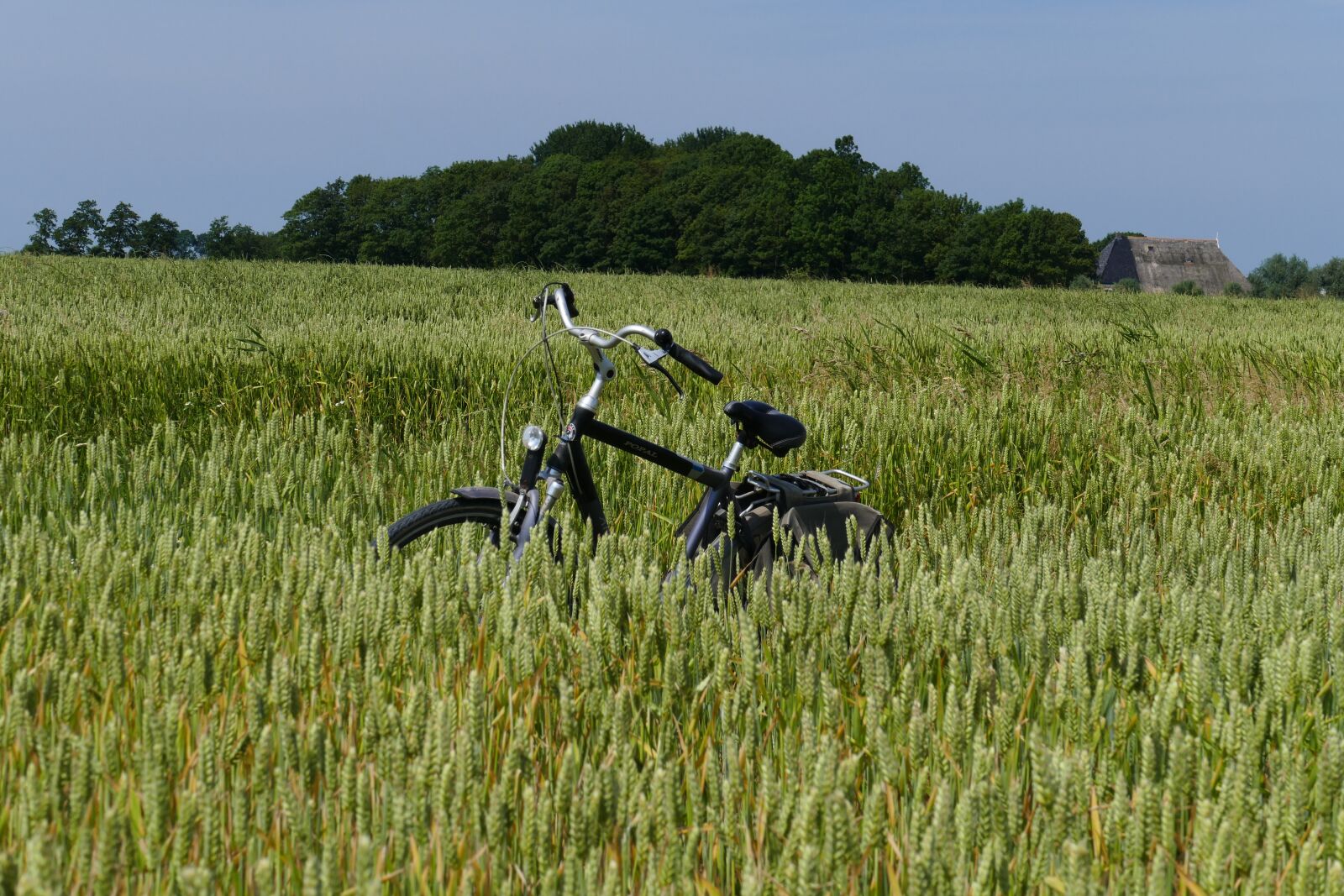 Panasonic Lumix DMC-FZ1000 sample photo. Bicycle, mens bike, grain photography