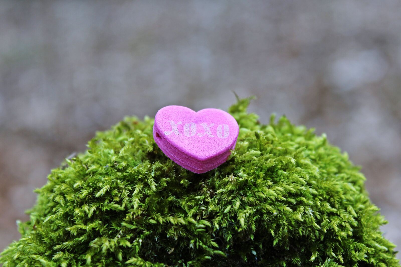 Canon EOS 1200D (EOS Rebel T5 / EOS Kiss X70 / EOS Hi) sample photo. Love, kisses, romance photography