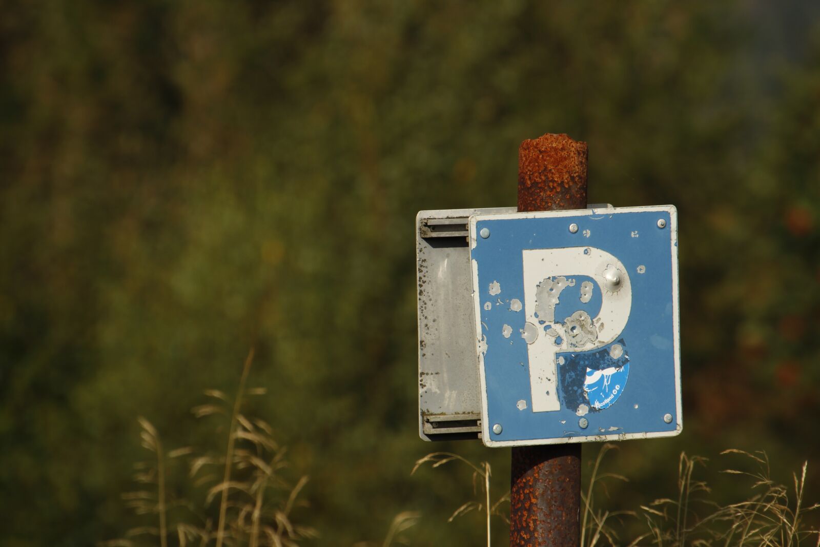 Canon EOS 700D (EOS Rebel T5i / EOS Kiss X7i) sample photo. Shield, parking, target photography