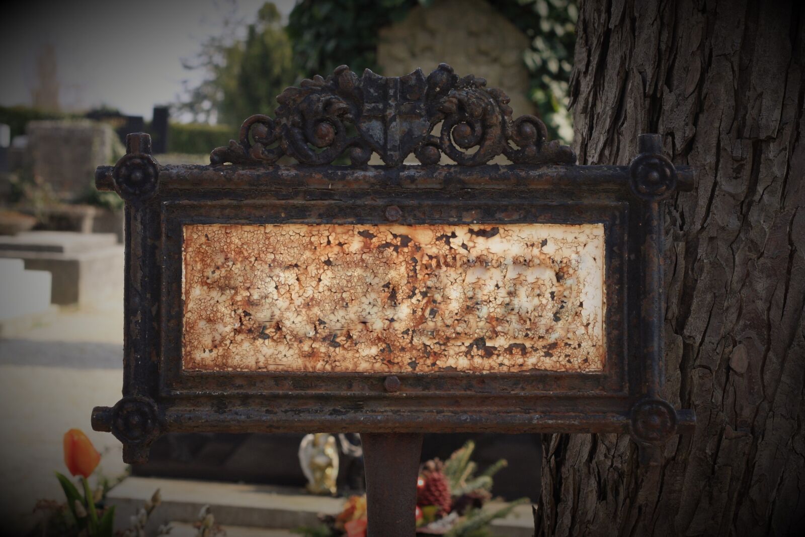 Canon EOS 40D sample photo. Rusty, sign, old photography