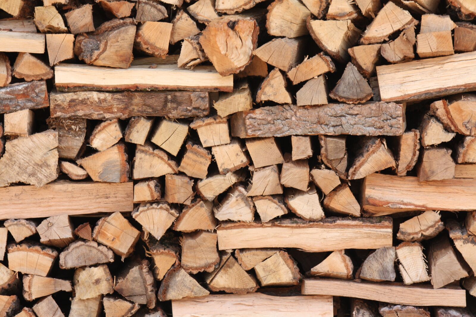 Canon EOS 450D (EOS Rebel XSi / EOS Kiss X2) sample photo. Also clearly sense, firewood photography