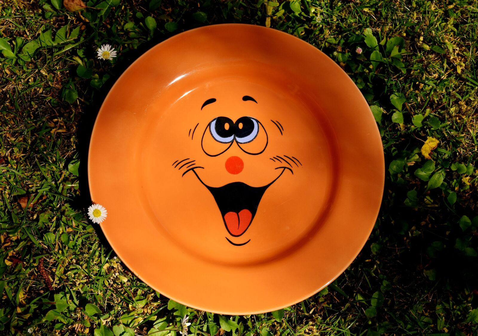 Nikon D7200 sample photo. Plate, tableware, smiley photography