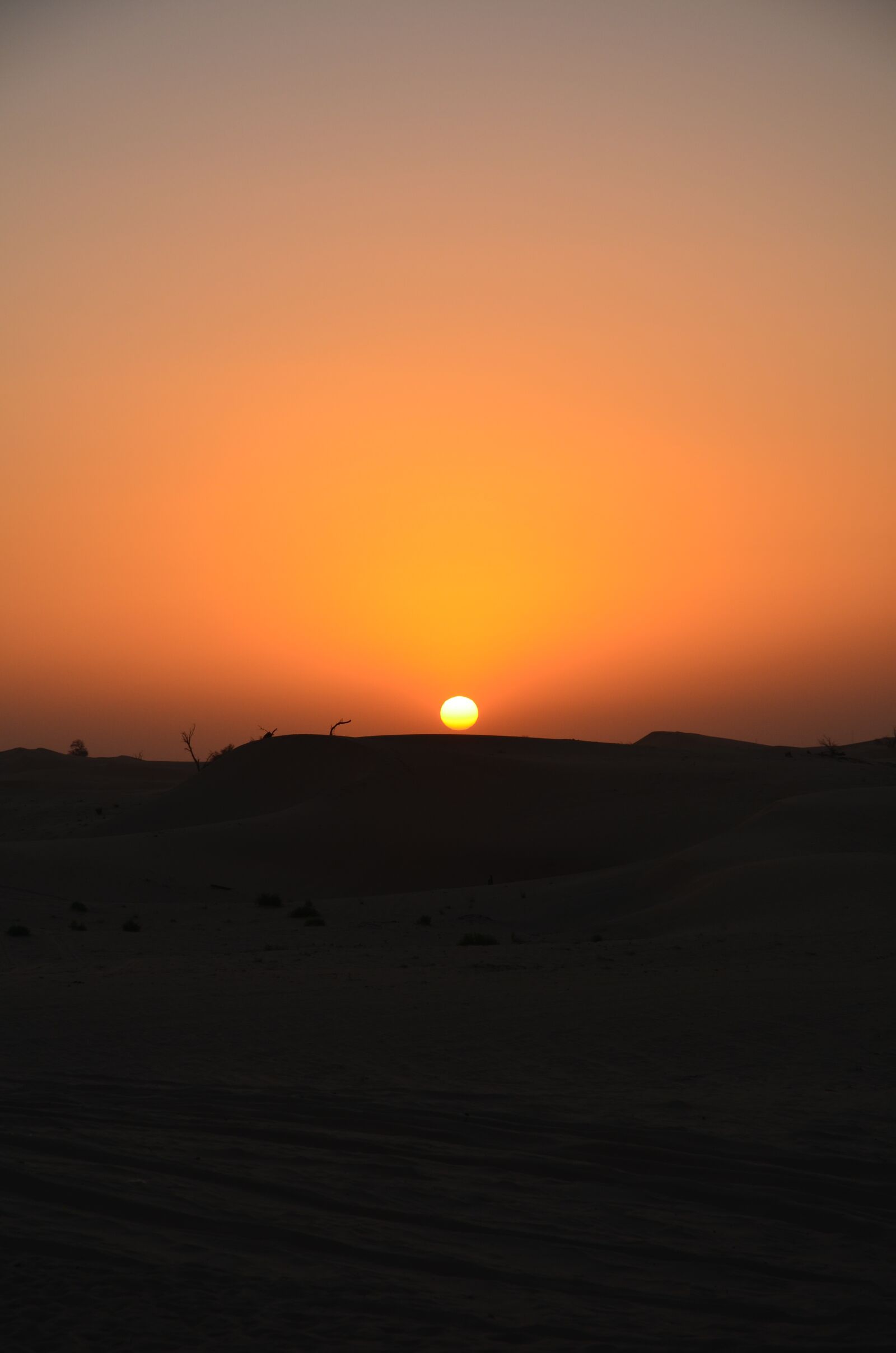 Nikon D5100 sample photo. Sunset, desert, abu dhabi photography