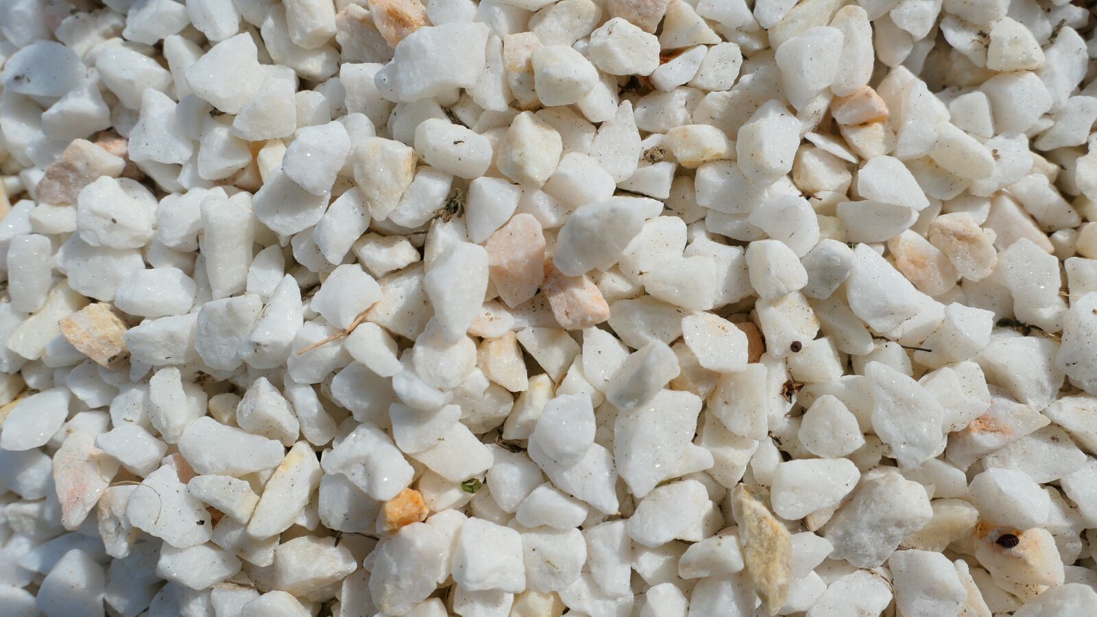 Panasonic Lumix DMC-LX10 (Lumix DMC-LX15) sample photo. Pebbles, the stones, grit photography