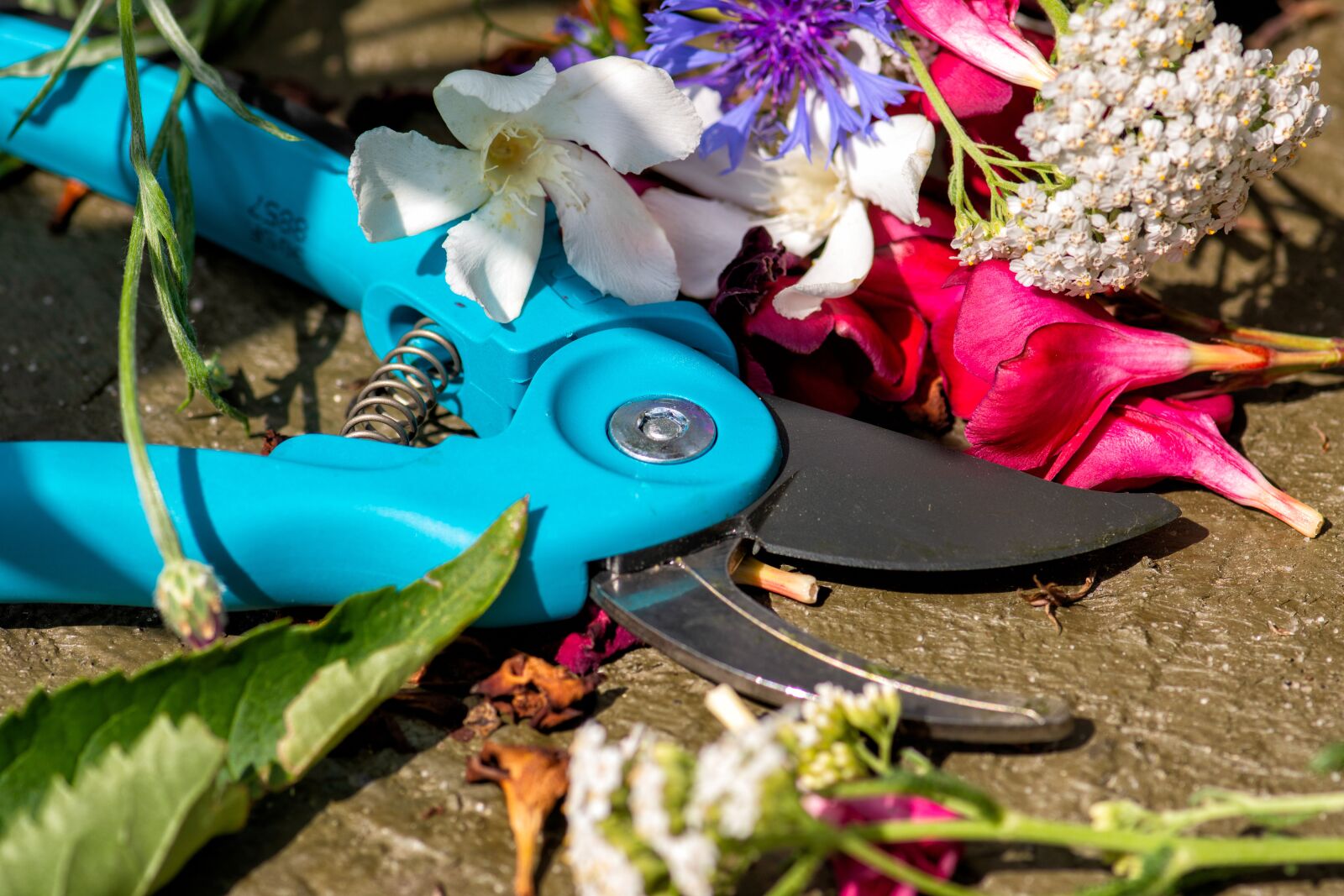 Nikon D7200 sample photo. Pruning shears, cut, sharp photography