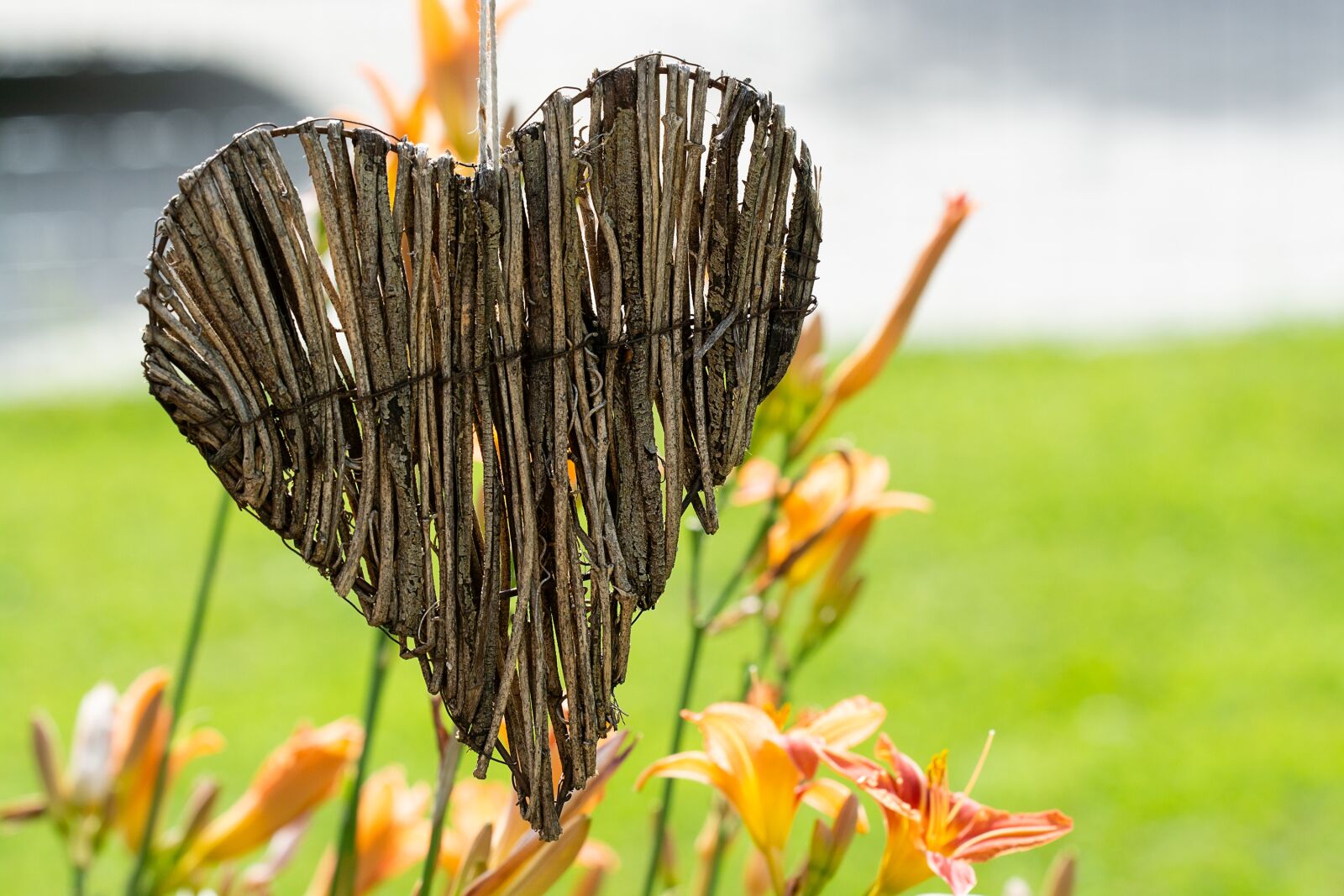 Nikon D7100 sample photo. Heart, wood, wooden heart photography