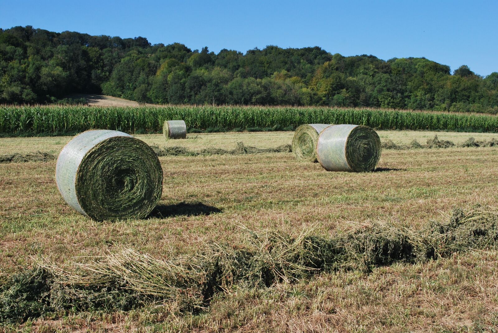 Nikon D60 sample photo. Straw, bundles, agriculture photography