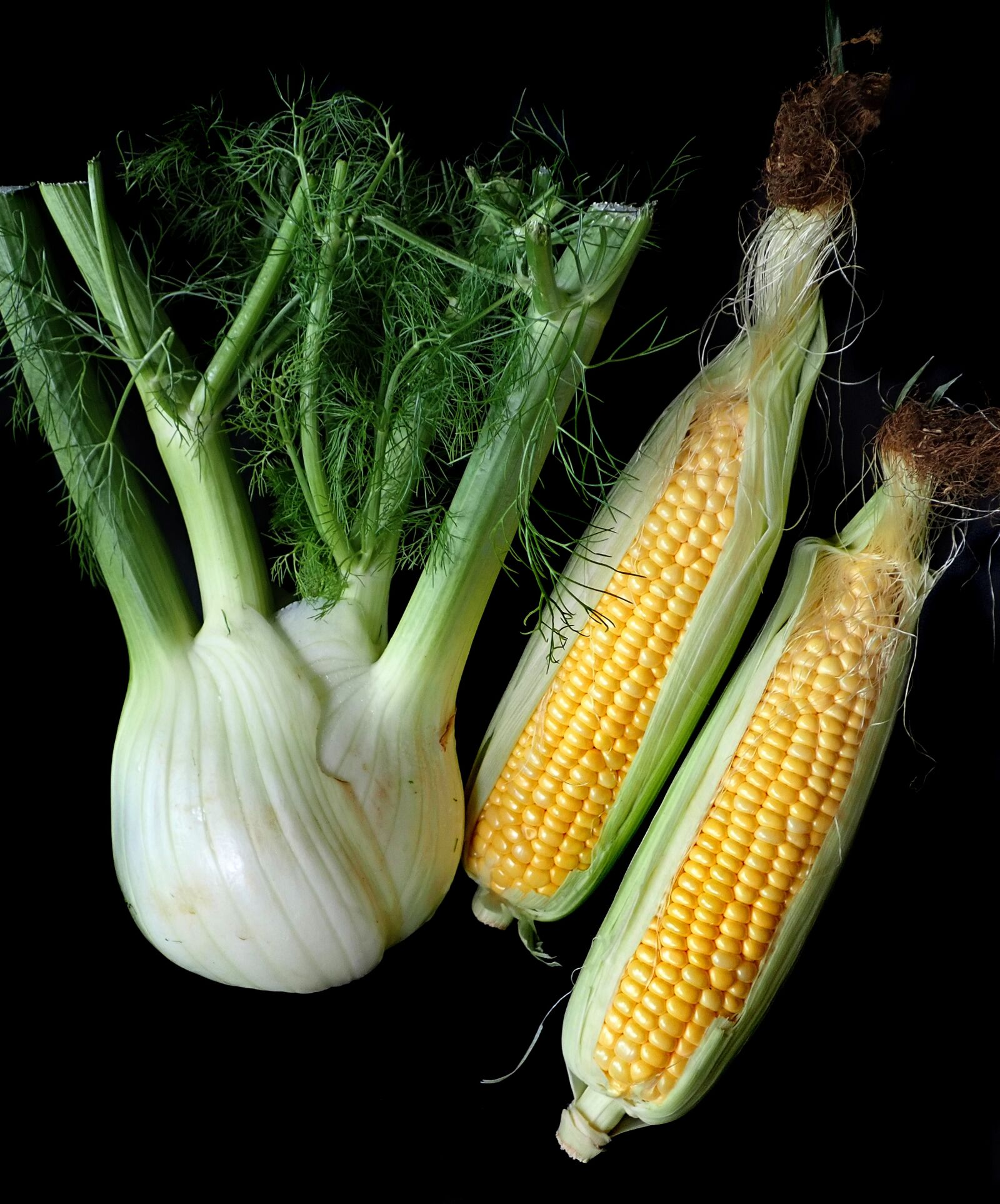 Olympus TG-5 sample photo. Fennel, corn, vegetables photography