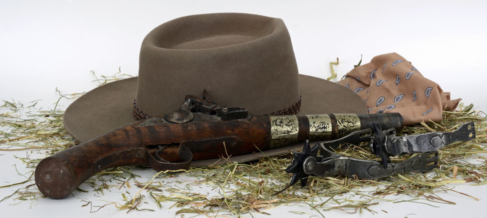 Nikon D7100 sample photo. Pistol, spores, hay photography