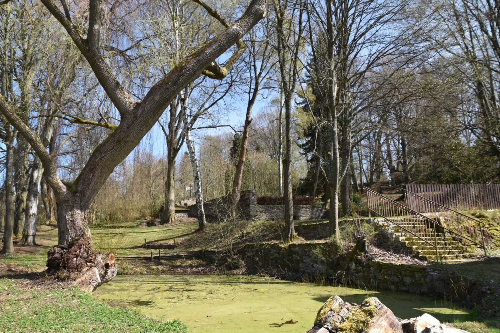 Nikon D3500 sample photo. Garden, park, lagoon photography