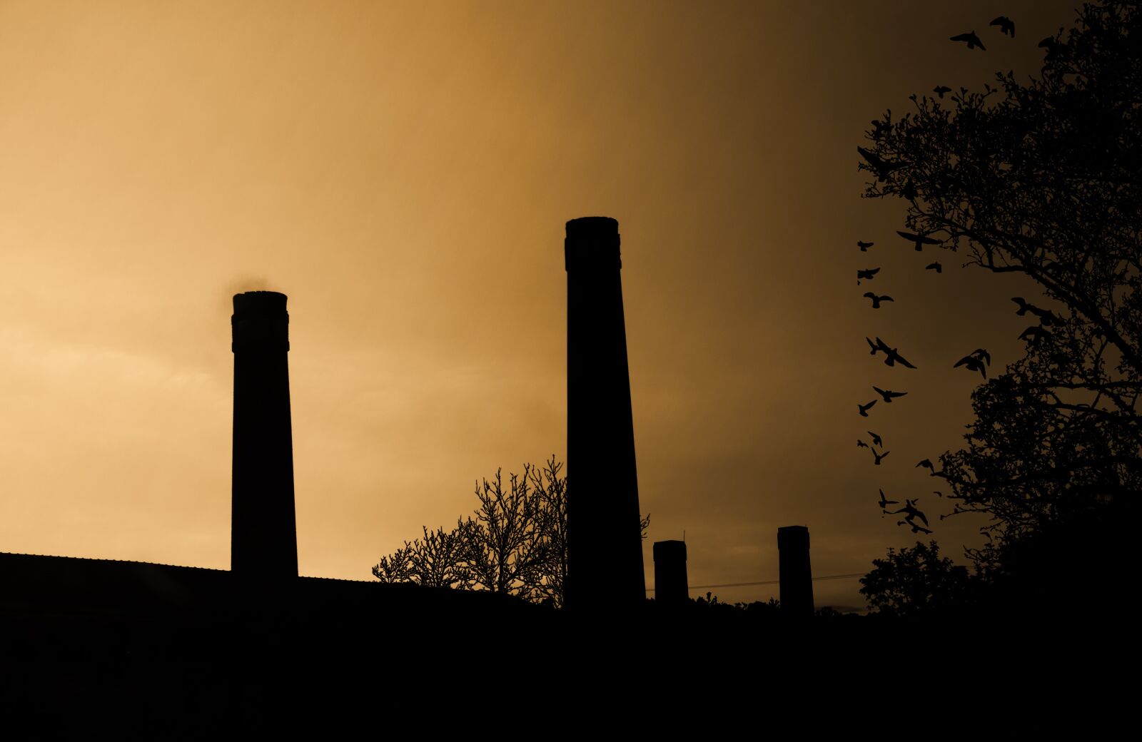 Nikon D5100 sample photo. Sol, by sunsets, nature photography