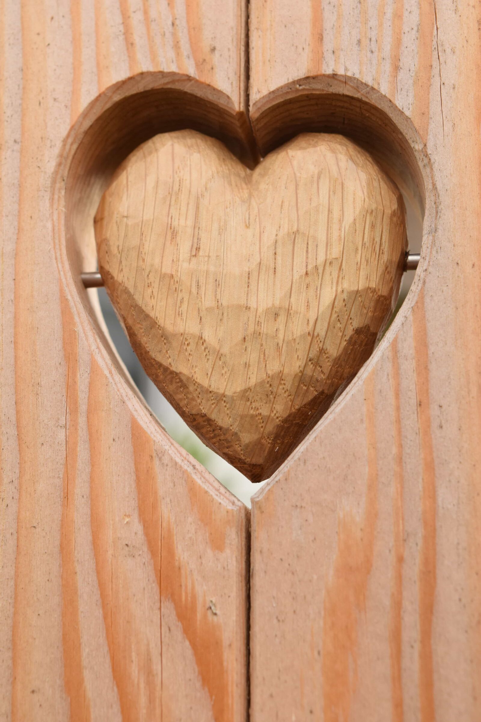 Nikon D3300 sample photo. Wood, heart, wooden, front photography