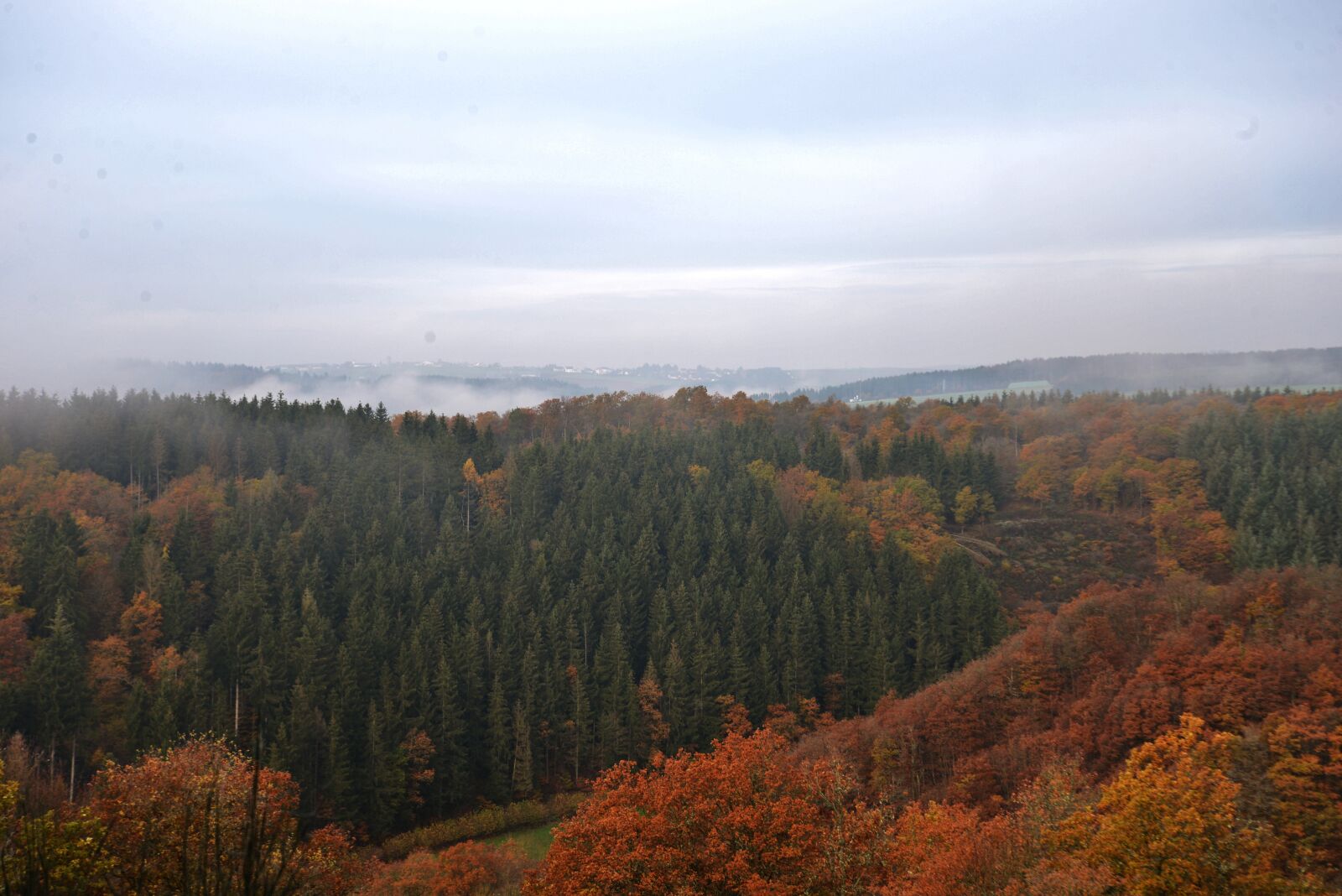Nikon D600 sample photo. Hills, forests, fall colors photography