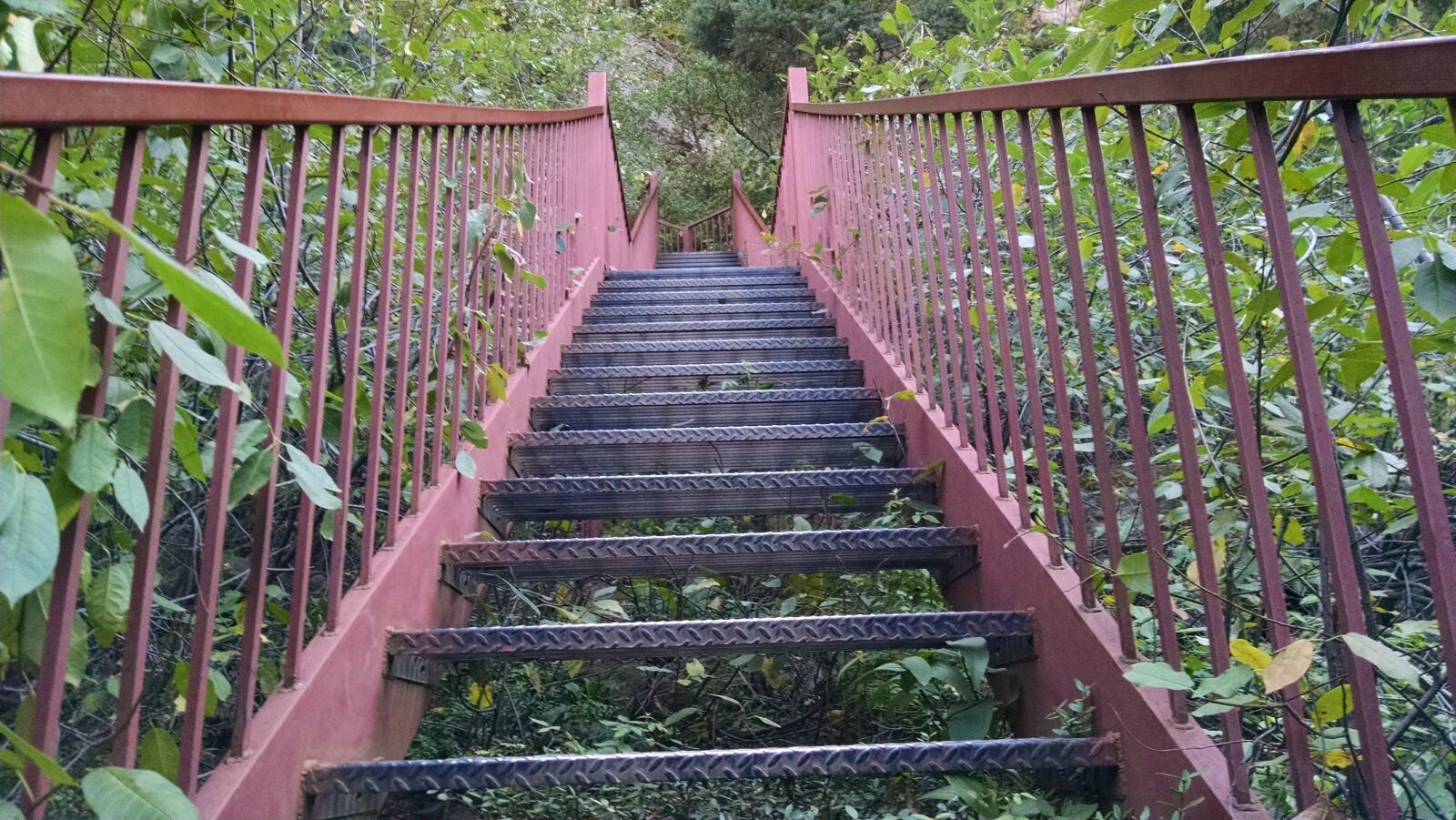 Motorola XT1080 sample photo. Jungle, metal, staircase, stairs photography