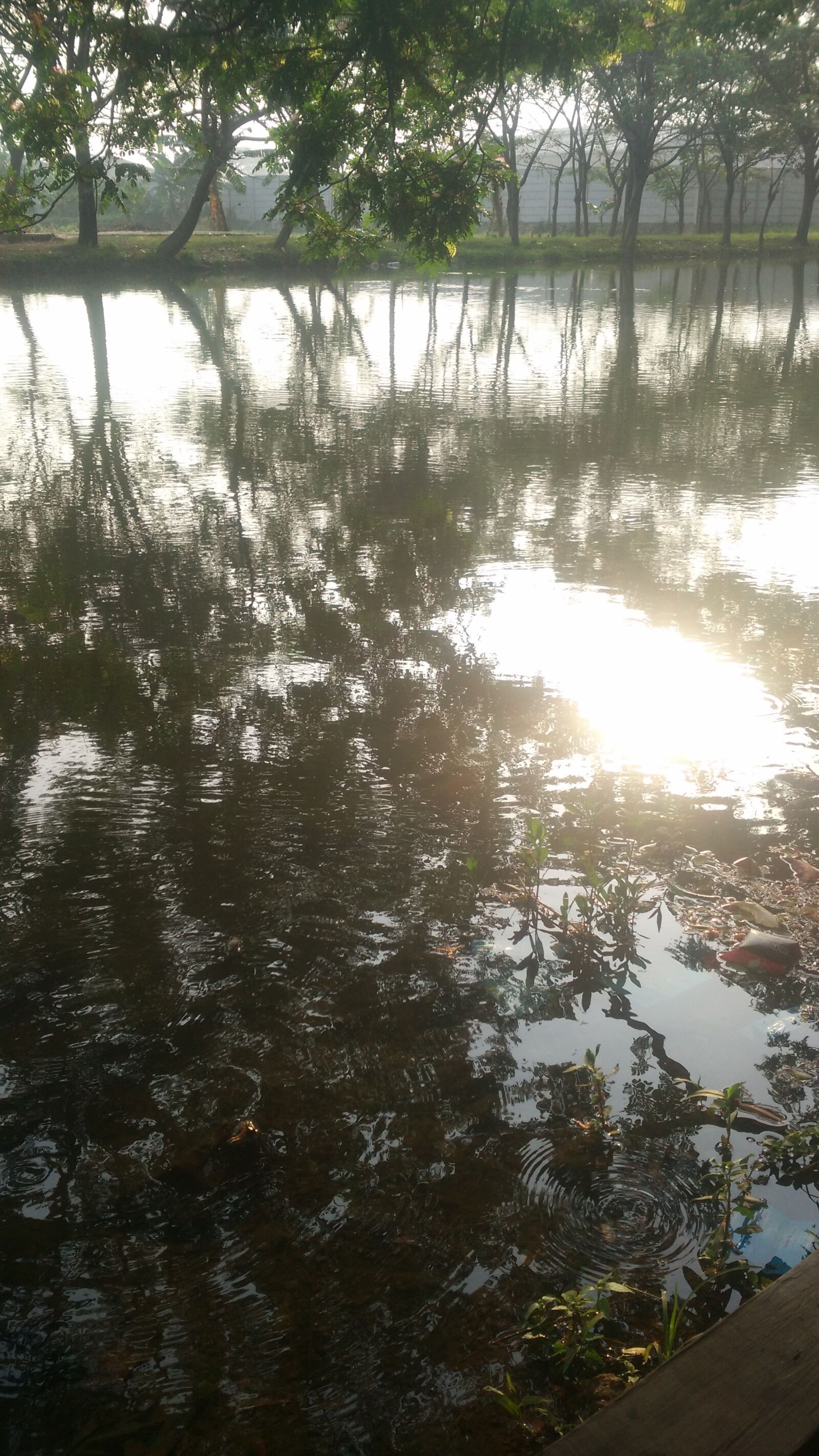 Xiaomi MI4 sample photo. Sungai, pagi, pemandangan photography