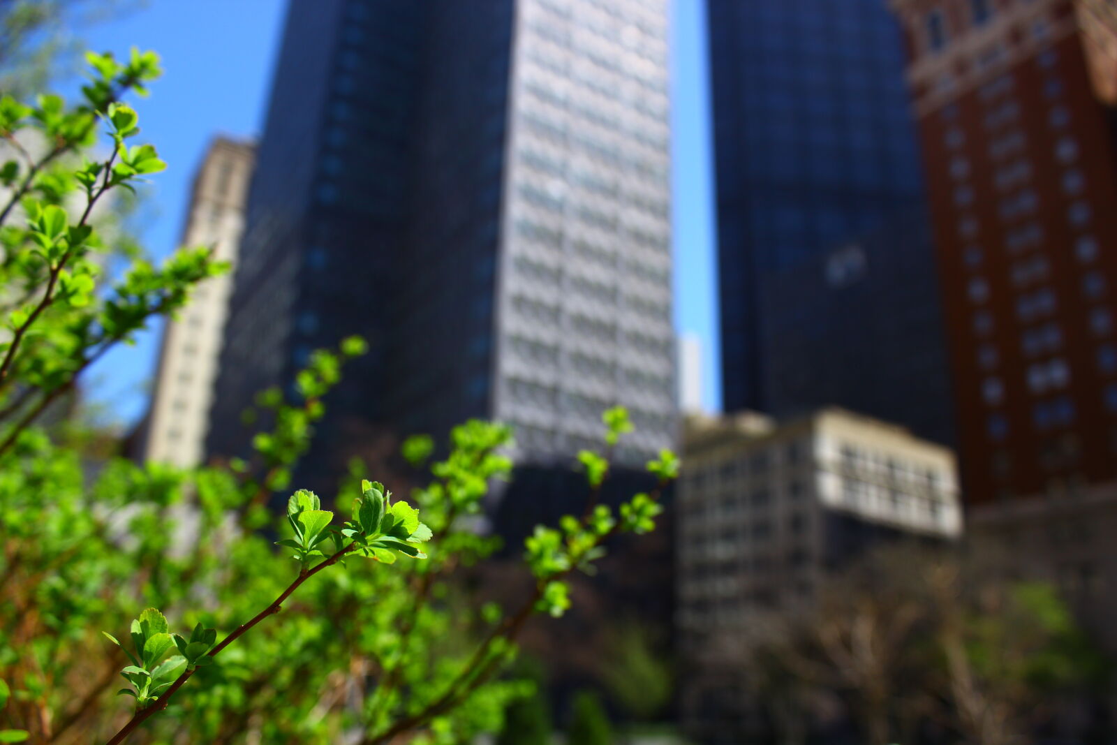 Canon EOS 600D (Rebel EOS T3i / EOS Kiss X5) sample photo. Blur, city, colorful, nature photography
