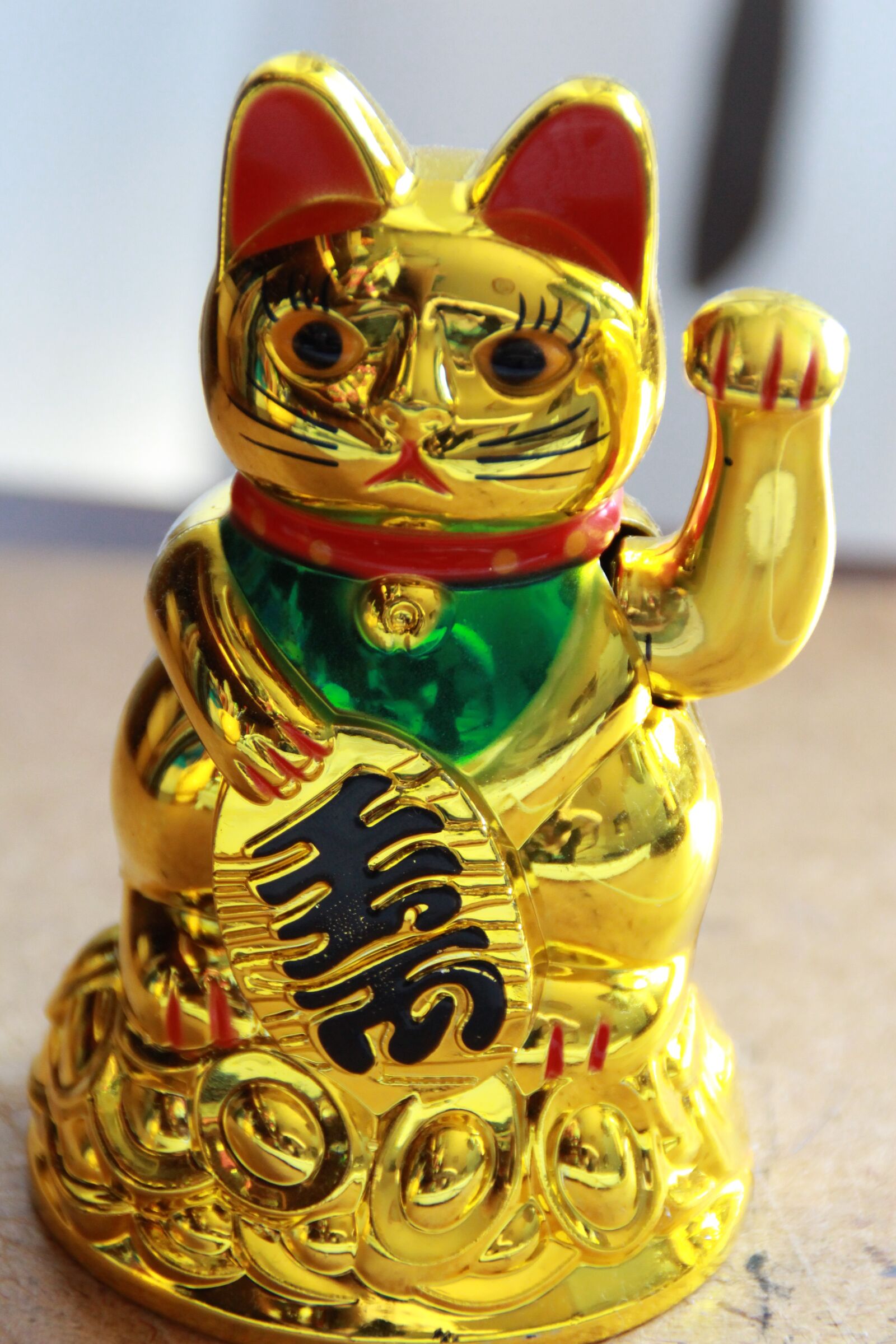 Canon EOS 700D (EOS Rebel T5i / EOS Kiss X7i) sample photo. Happiness, china, cat photography