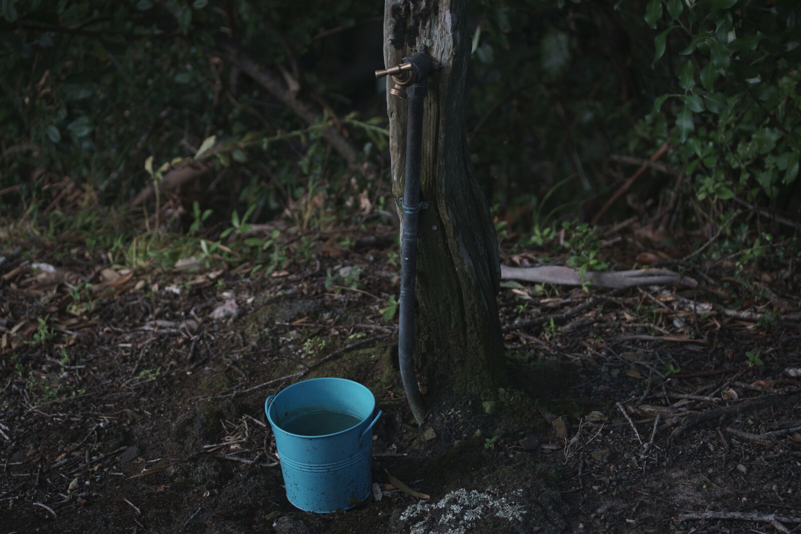 Sony a6000 + Sony DT 50mm F1.8 SAM sample photo. Bucket, water, tap photography