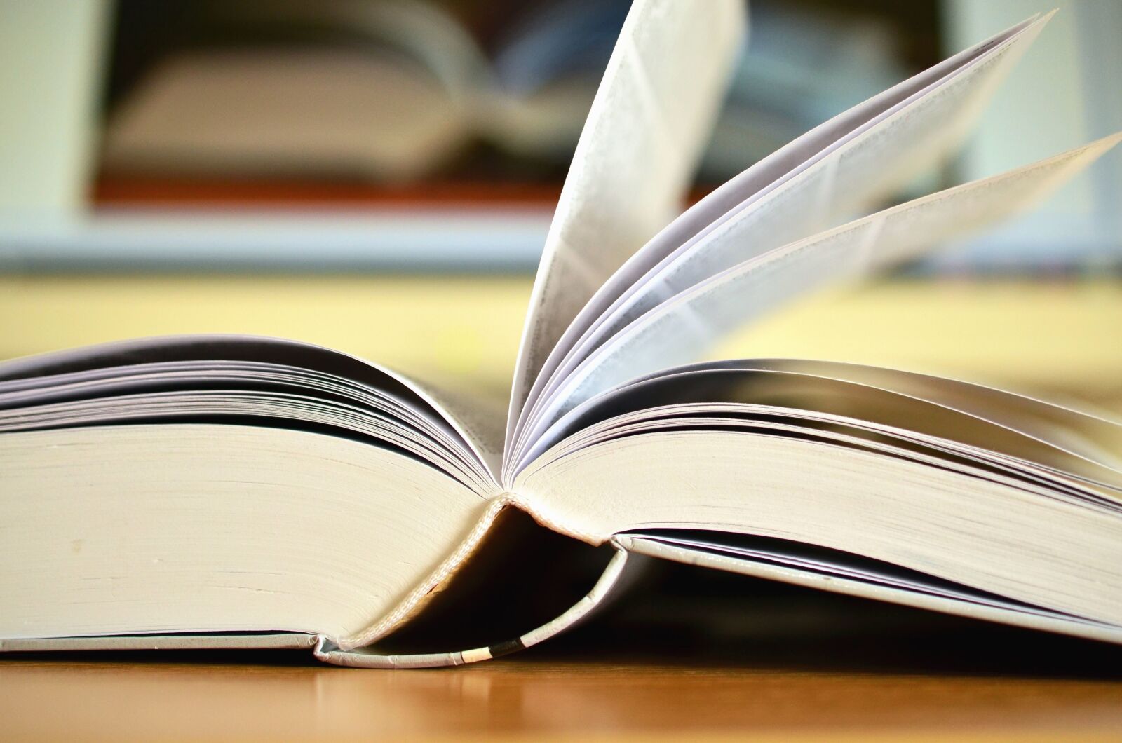 Nikon D5100 sample photo. Page, book, knowledge, learning photography